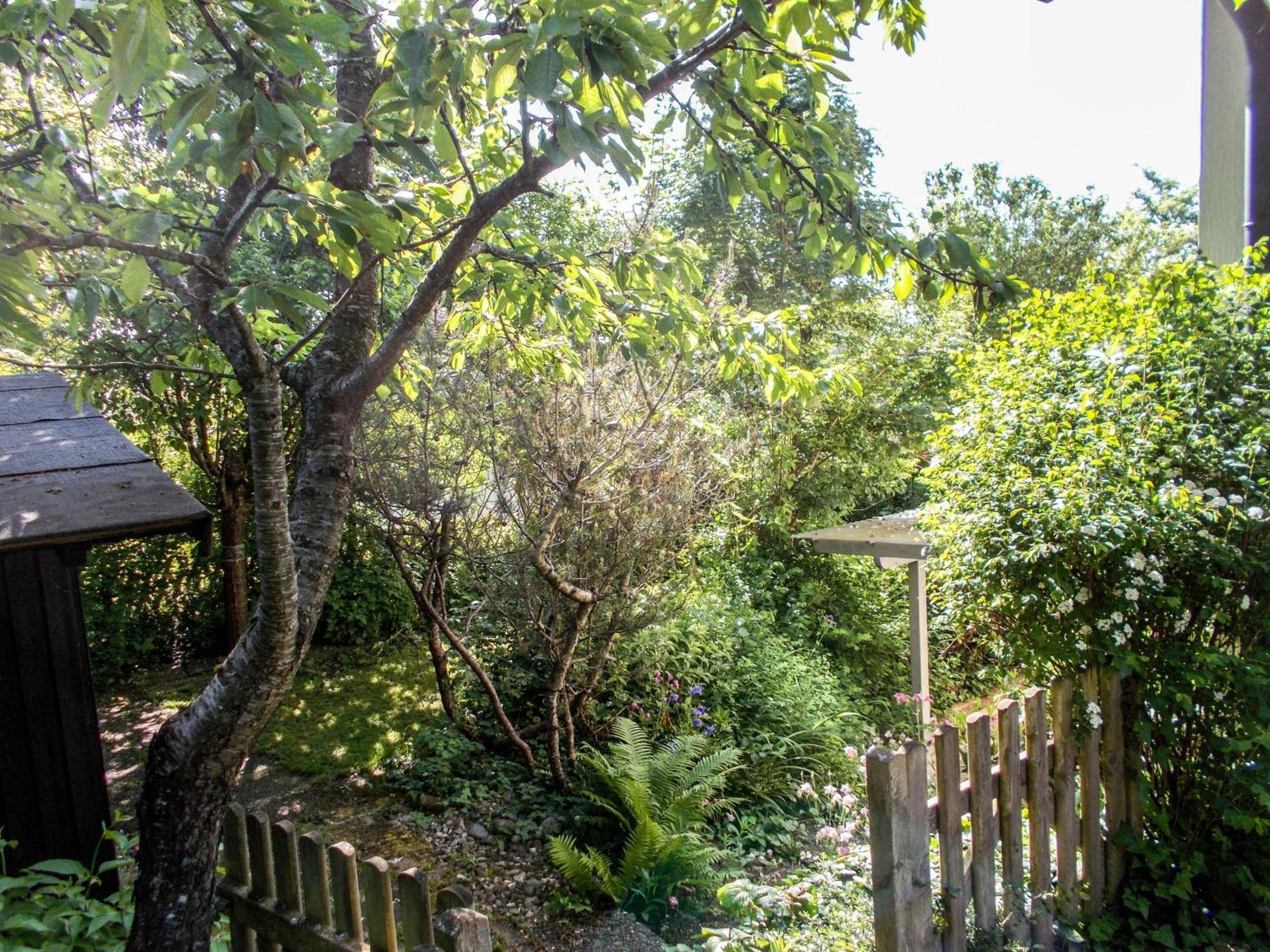 Im Herzen Der Natur Herdwangen-Schönach Exteriör bild